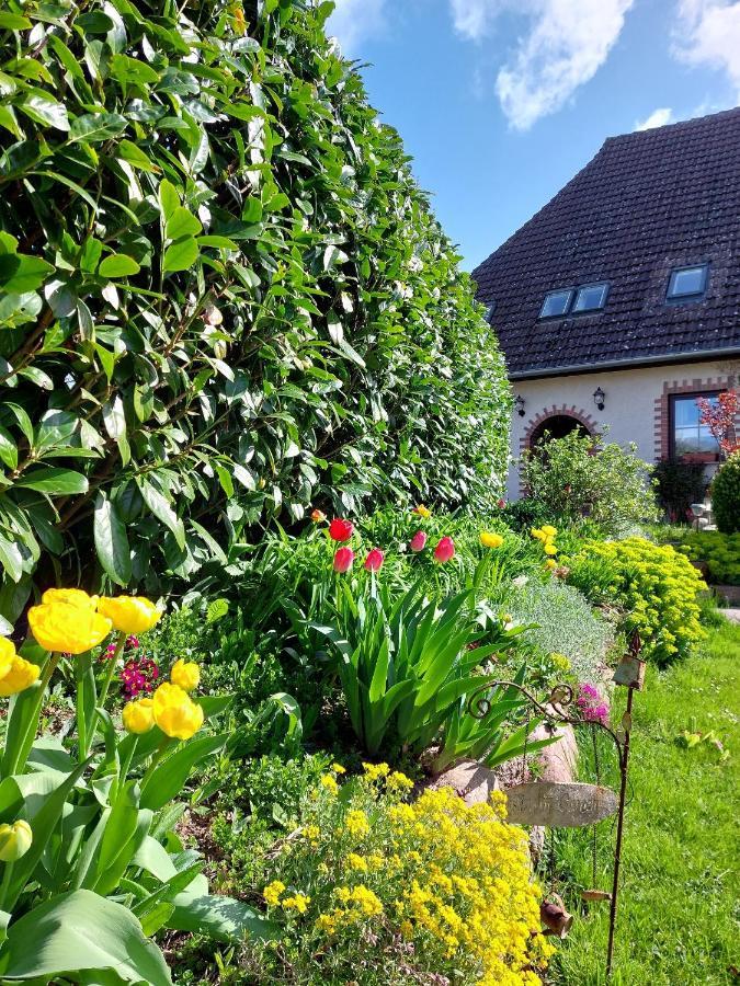 Klosterblick Bad Doberan Exterior photo